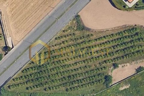 Helårsgrund i Maia, Porto, Maia - € 2.000.000 | Ref: mai_P251001 - foto 2