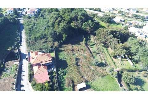Helårsgrund i Caminha, Viana do Castelo, Caminha - € 150.000 | Ref: 2176 - foto 3