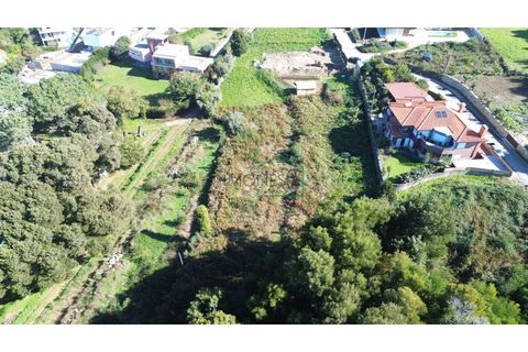 Helårsgrund i Caminha, Viana do Castelo, Caminha - € 150.000 | Ref: 2176 - foto 4