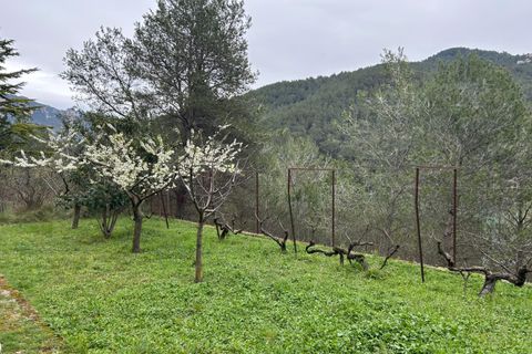 Villa a Pobla De Benifassa, Castellon, Pobla De Benifassa - € 249.500 | Ref: C-1492/6911 - foto 41