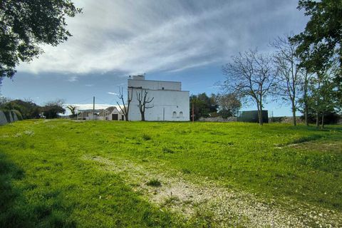 Villa i Monopoli, Bari, Monopoli - € 950.000 | Ref: 37271001-1756 - foto 18