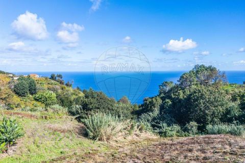 Helårsgrund i Santana, Madeira, Santana - € 140.000 | Ref: 123511177-56 - foto 3
