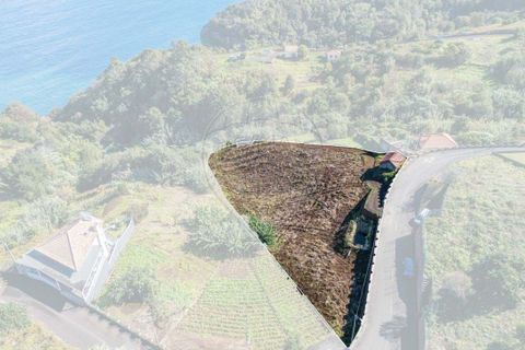 Helårsgrund i Santana, Madeira, Santana - € 140.000 | Ref: 123511177-56 - foto 12