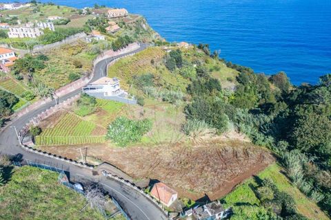Helårsgrund i Santana, Madeira, Santana - € 140.000 | Ref: 123511177-56 - foto 13
