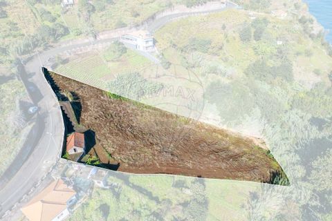 Helårsgrund i Santana, Madeira, Santana - € 140.000 | Ref: 123511177-56 - foto 16