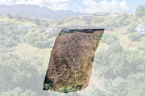 Helårsgrund i Santana, Madeira, Santana - € 140.000 | Ref: 123511177-56 - foto 19