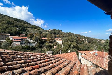 Byhus i Chianni, Pisa, Chianni - € 37.000 | Ref: 18589 - foto 16