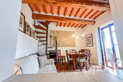 Villa i Massa Marittima, Grosseto, Massa Marittima - € 265.000 | Ref: 19248 - foto 3