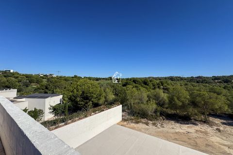 Villa a Orihuela Costa, Alicante, Orihuela Costa - € 2.950.000 | Ref: LUX0004-D - foto 41