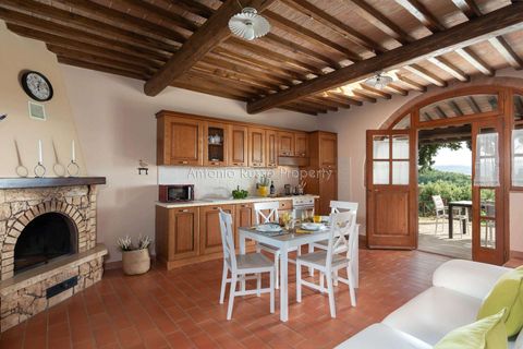 Landejendom i Terni, Terni, Terni - € 1.350.000 | Ref: TSVOLT1-708008 - foto 14