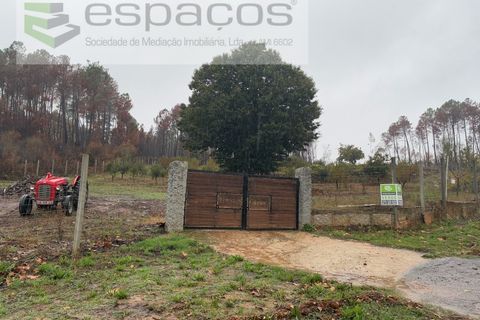 Erhvervsejendom i Paul, Castelo Branco, Paul - € 36.000 | Ref: 5895/CP - foto 2