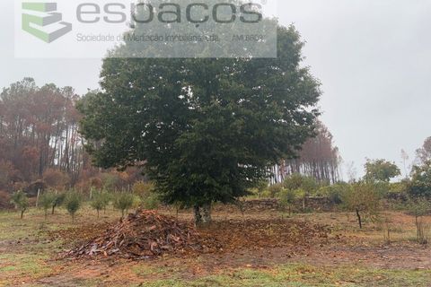 Erhvervsejendom i Paul, Castelo Branco, Paul - € 36.000 | Ref: 5895/CP - foto 3