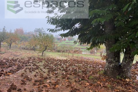 Erhvervsejendom i Paul, Castelo Branco, Paul - € 36.000 | Ref: 5895/CP - foto 5