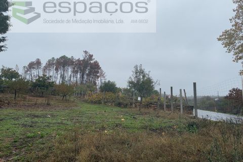 Erhvervsejendom i Paul, Castelo Branco, Paul - € 36.000 | Ref: 5895/CP - foto 6