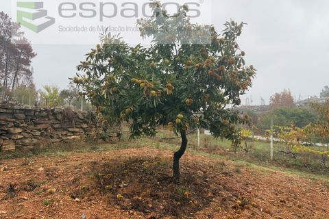 Erhvervsejendom i Paul, Castelo Branco, Paul - € 36.000 | Ref: 5895/CP - foto 7