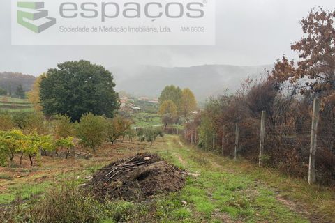 Erhvervsejendom i Paul, Castelo Branco, Paul - € 36.000 | Ref: 5895/CP - foto 9