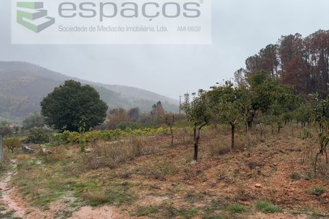 Erhvervsejendom i Paul, Castelo Branco, Paul - € 36.000 | Ref: 5895/CP - foto 1