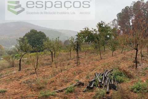 Erhvervsejendom i Paul, Castelo Branco, Paul - € 36.000 | Ref: 5895/CP - foto 10