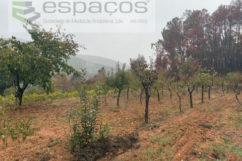 Erhvervsejendom i Paul, Castelo Branco, Paul - € 36.000 | Ref: 5895/CP - foto 11