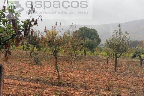 Erhvervsejendom i Paul, Castelo Branco, Paul - € 36.000 | Ref: 5895/CP - foto 12