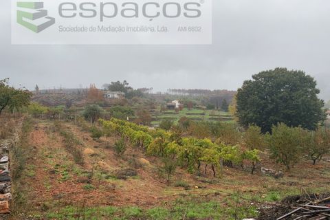 Erhvervsejendom i Paul, Castelo Branco, Paul - € 36.000 | Ref: 5895/CP - foto 13
