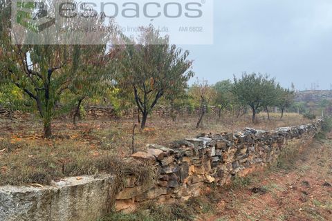 Erhvervsejendom i Paul, Castelo Branco, Paul - € 36.000 | Ref: 5895/CP - foto 17