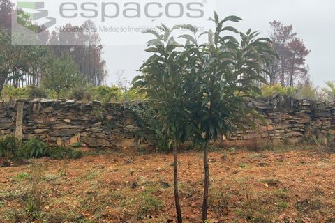 Erhvervsejendom i Paul, Castelo Branco, Paul - € 36.000 | Ref: 5895/CP - foto 19