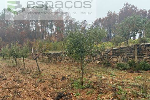 Erhvervsejendom i Paul, Castelo Branco, Paul - € 36.000 | Ref: 5895/CP - foto 20