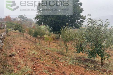 Erhvervsejendom i Paul, Castelo Branco, Paul - € 36.000 | Ref: 5895/CP - foto 21