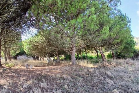 Helårsgrund i Mafra, Lisbon, Mafra - € 434.000 | Ref: V25293 - foto 2