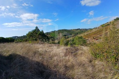 Helårsgrund i Mafra, Lisbon, Mafra - € 434.000 | Ref: V25293 - foto 4