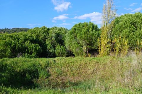 Helårsgrund i Mafra, Lisbon, Mafra - € 434.000 | Ref: V25293 - foto 5