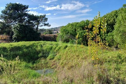 Helårsgrund i Mafra, Lisbon, Mafra - € 434.000 | Ref: V25293 - foto 6