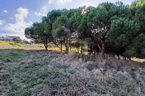 Helårsgrund i Mafra, Lisbon, Mafra - € 434.000 | Ref: V25293 - foto 7