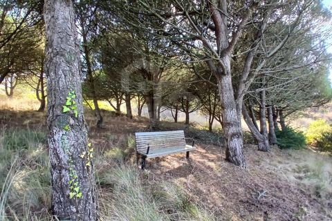 Helårsgrund i Mafra, Lisbon, Mafra - € 434.000 | Ref: V25293 - foto 8
