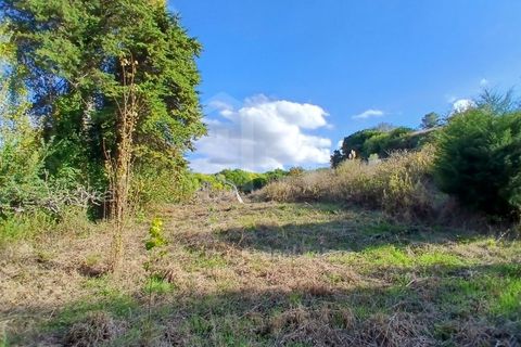 Helårsgrund i Mafra, Lisbon, Mafra - € 434.000 | Ref: V25293 - foto 10