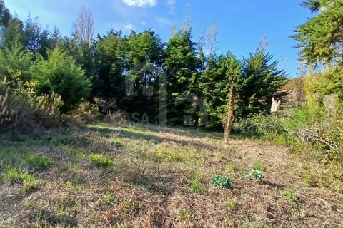 Helårsgrund i Mafra, Lisbon, Mafra - € 434.000 | Ref: V25293 - foto 11