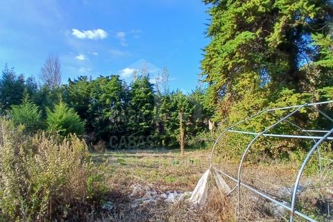 Helårsgrund i Mafra, Lisbon, Mafra - € 434.000 | Ref: V25293 - foto 12