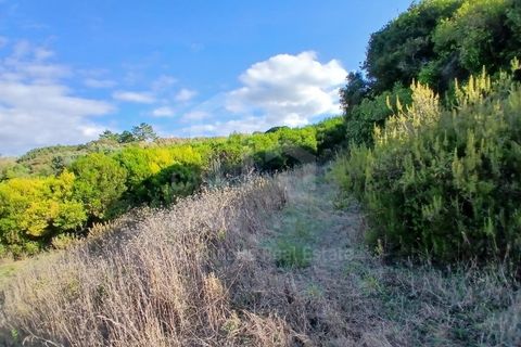 Helårsgrund i Mafra, Lisbon, Mafra - € 434.000 | Ref: V25293 - foto 14