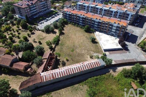 Terra a Anadia, Aveiro, Anadia - € 240.000 | Ref: 146588 - foto 2