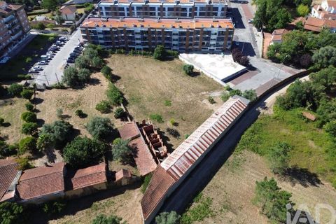 Terra a Anadia, Aveiro, Anadia - € 240.000 | Ref: 146588 - foto 3