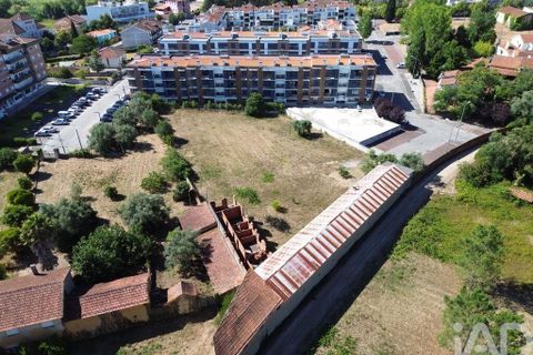 Terra a Anadia, Aveiro, Anadia - € 240.000 | Ref: 146588 - foto 4