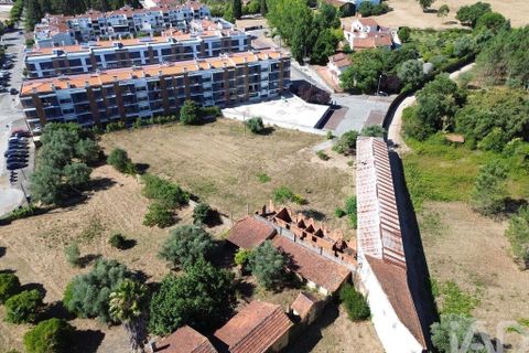 Terra a Anadia, Aveiro, Anadia - € 240.000 | Ref: 146588 - foto 5