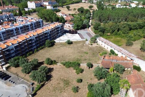 Terra a Anadia, Aveiro, Anadia - € 240.000 | Ref: 146588 - foto 6