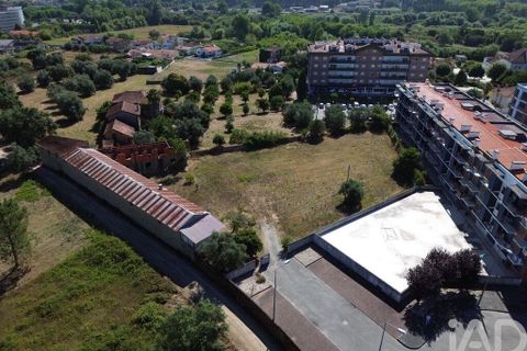 Terra a Anadia, Aveiro, Anadia - € 240.000 | Ref: 146588 - foto 7