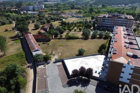 Terra a Anadia, Aveiro, Anadia - € 240.000 | Ref: 146588 - foto 8