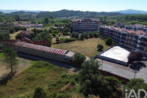 Terra a Anadia, Aveiro, Anadia - € 240.000 | Ref: 146588 - foto 9