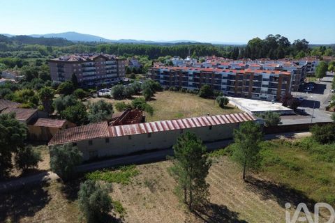 Terra a Anadia, Aveiro, Anadia - € 240.000 | Ref: 146588 - foto 10