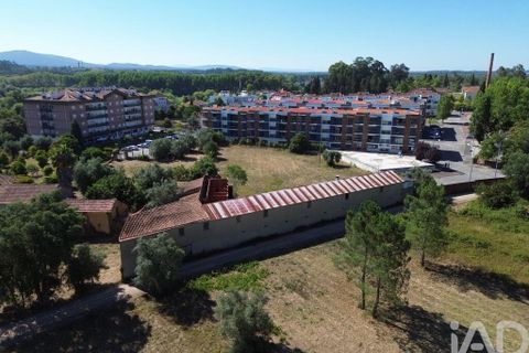Terra a Anadia, Aveiro, Anadia - € 240.000 | Ref: 146588 - foto 11