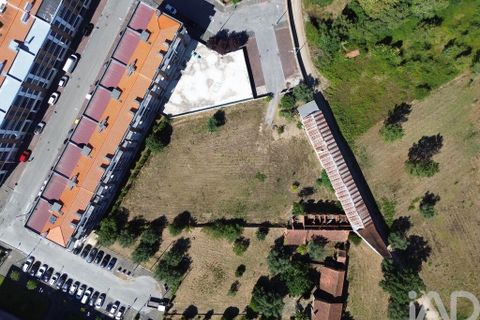 Terra a Anadia, Aveiro, Anadia - € 240.000 | Ref: 146588 - foto 12